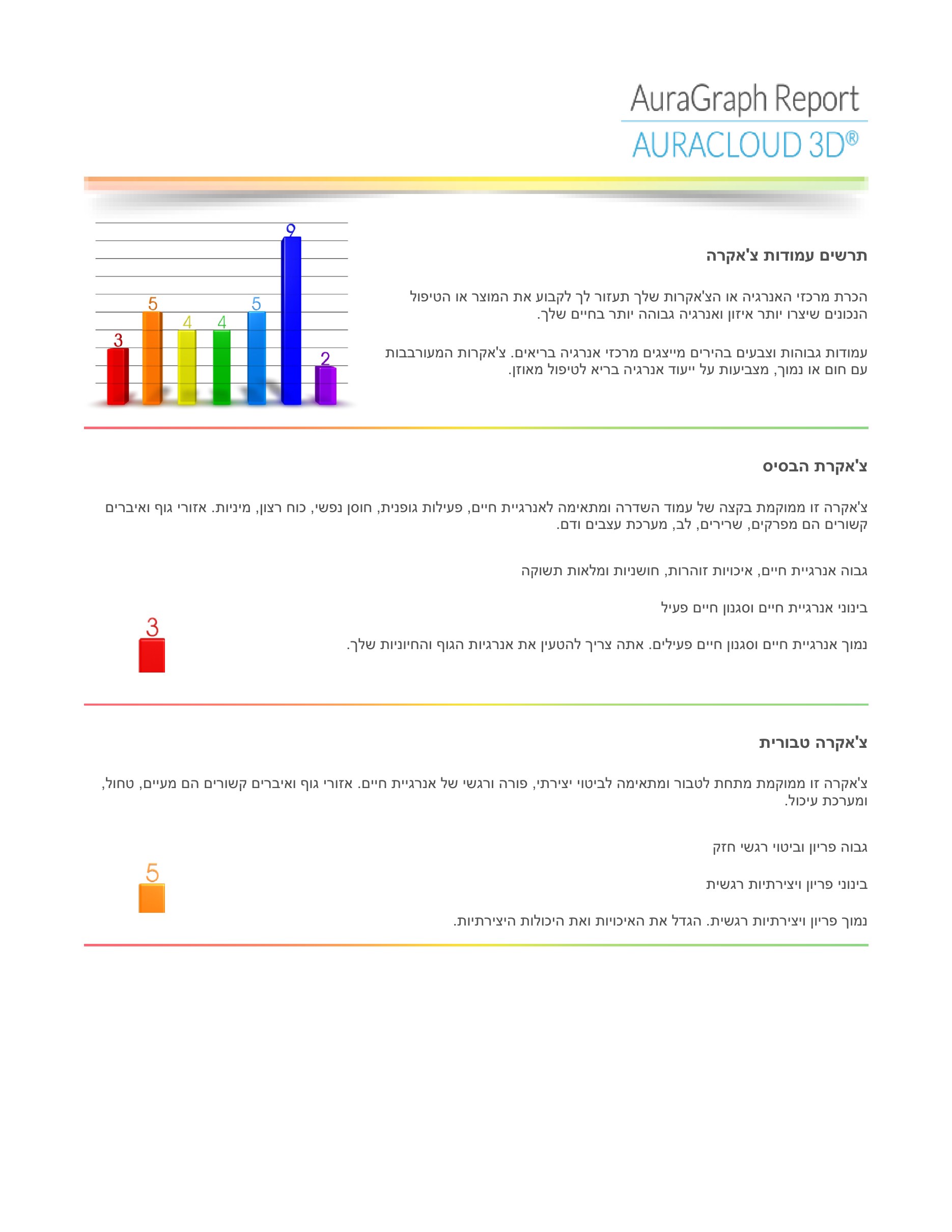 צילום מסך של עמוד לדוגמה מתוך דוח הילה אישי